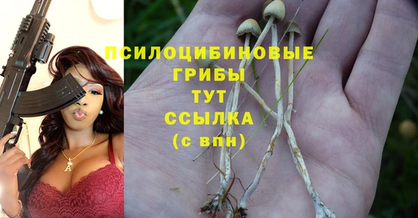 MDMA Premium VHQ Армянск